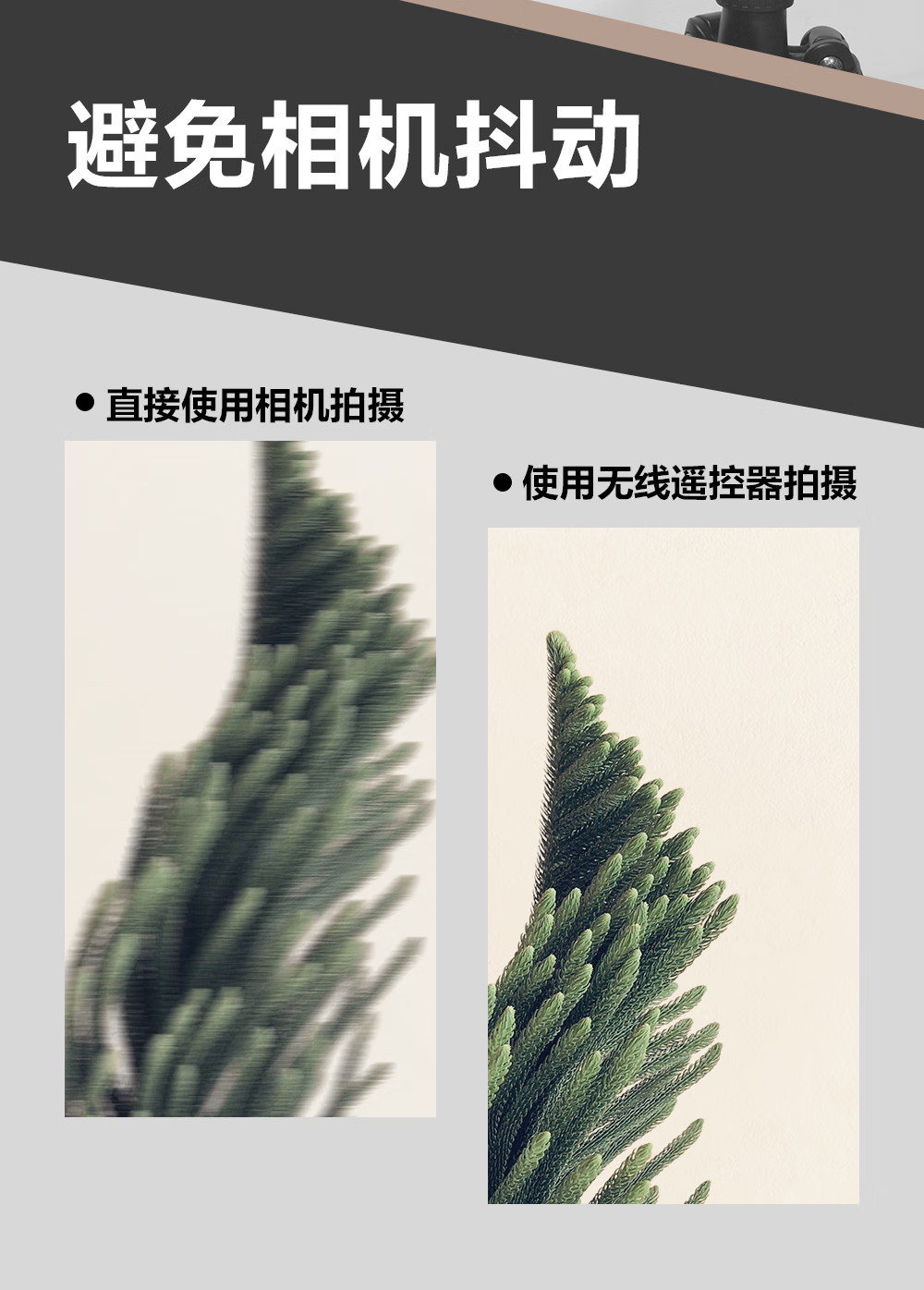 06.png